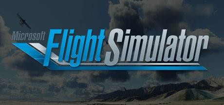 Microsoft Flight Simulator