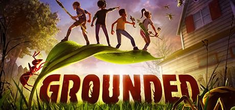 PC Game Grounded